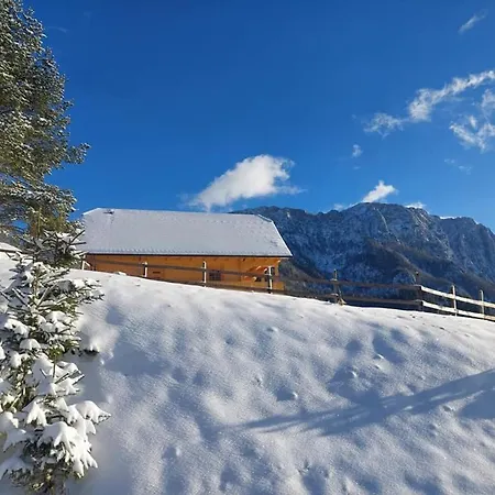 Osojnik - Alpine Escape With Wellness Solcava