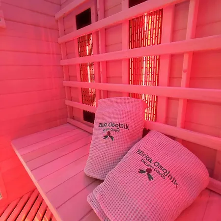 Osojnik - Alpine Escape With Wellness Solcava