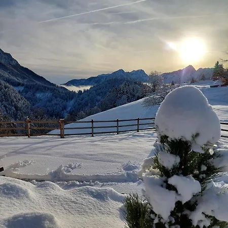 Dom wakacyjny Osojnik - Alpine Escape With Wellness