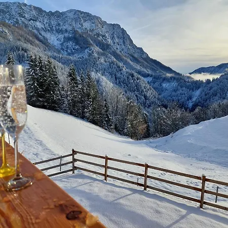 Dom wakacyjny Osojnik - Alpine Escape With Wellness Solčava