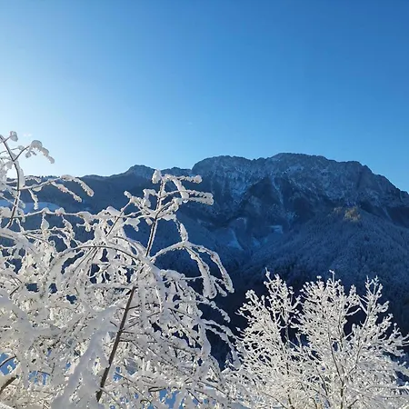 Osojnik - Alpine Escape With Wellness Solcava