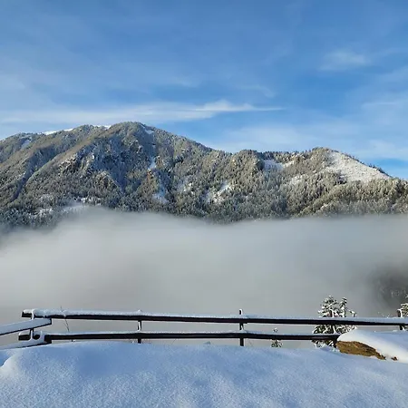 Osojnik - Alpine Escape With Wellness