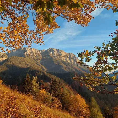 Vikendica Osojnik - Alpine Escape With Wellness *