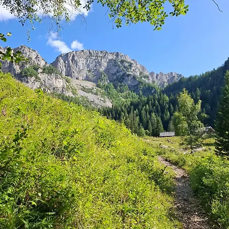 Osojnik - Alpine Escape With Wellness Holiday home *