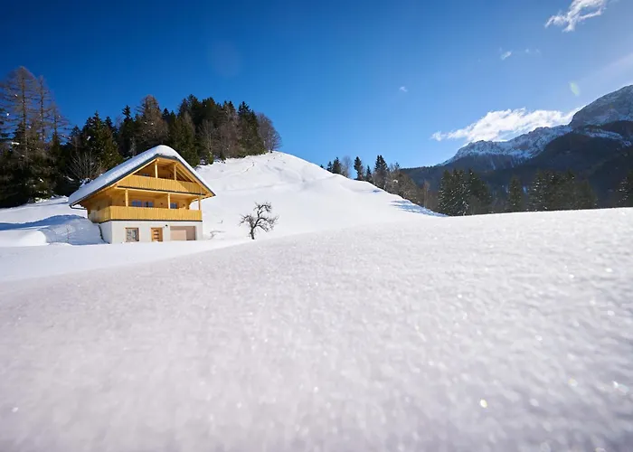 Holiday home Osojnik - Alpine Escape With Wellness *