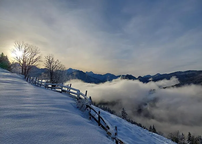 Osojnik - Alpine Escape With Wellness Solcava