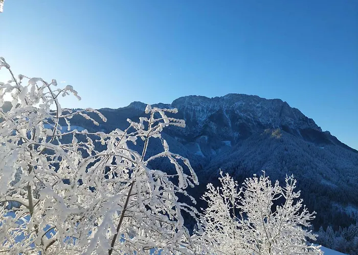 Osojnik - Alpine Escape With Wellness Solčava