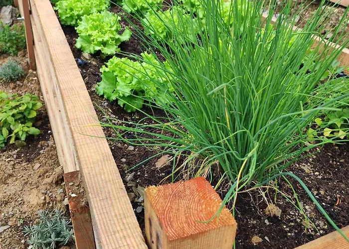 Osojnik - Alpine Escape With Wellness Solcava