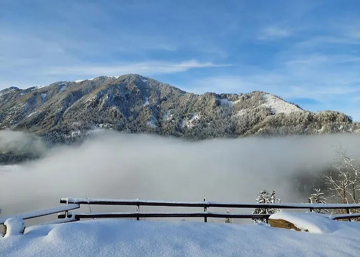 Osojnik - Alpine Escape With Wellness