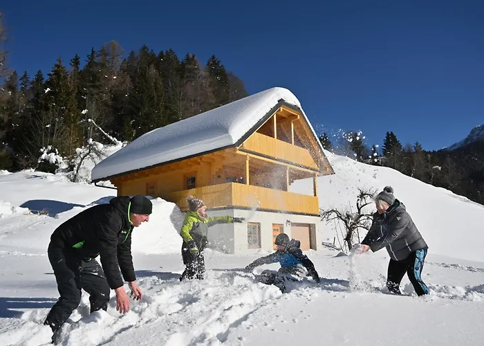 Osojnik - Alpine Escape With Wellness Solcava