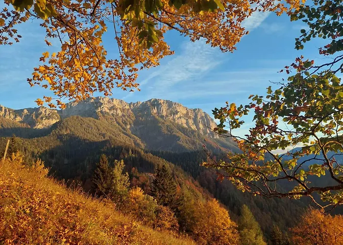 Vakantiehuis Osojnik - Alpine Escape With Wellness *